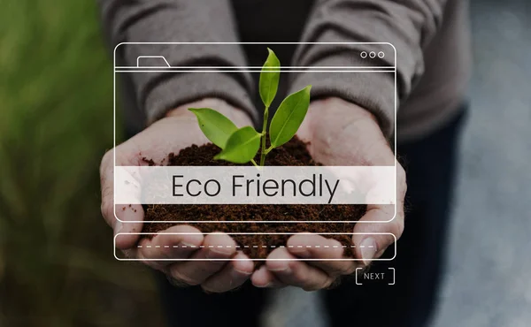 Person holding plant in hands — Stock Photo, Image