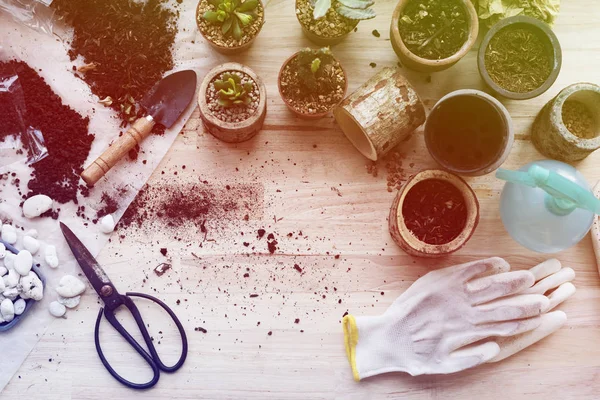 Tabel met de aanplant van hulpmiddelen — Stockfoto