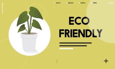 tasarım şablonu sayfa