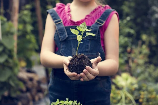 Girl Holding Tree in Hands — Stock Photo, Image