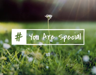  Yeşil çimen ile tarlada çiçekler