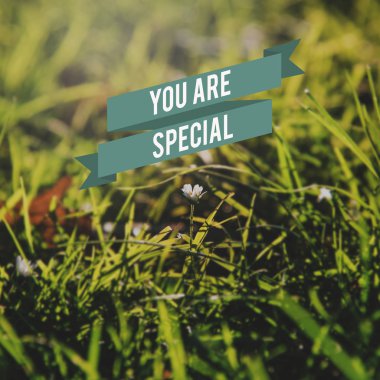  Yeşil çimen ile tarlada çiçekler