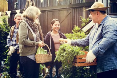 insanlar sebze dikim