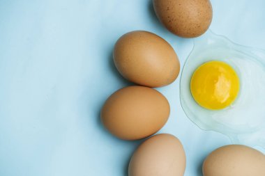 mavi arka plan üzerinde organik yumurta