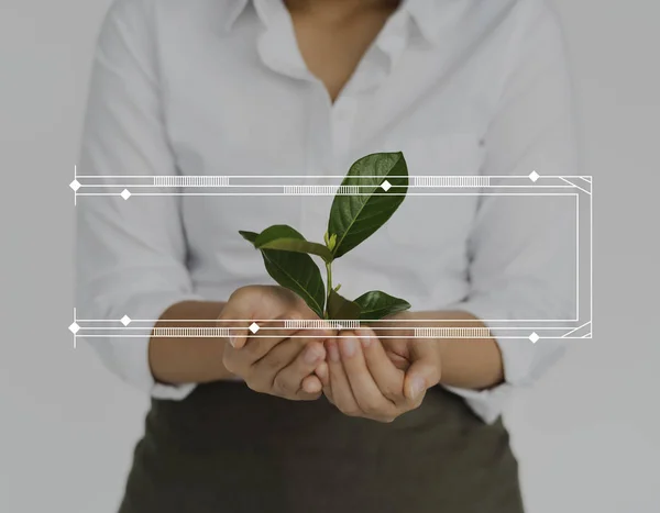 Frau hält Pflanze — Stockfoto