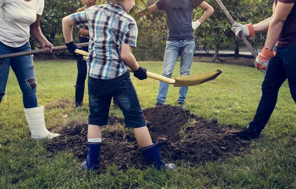 Люди копають отвір посадка дерева — стокове фото