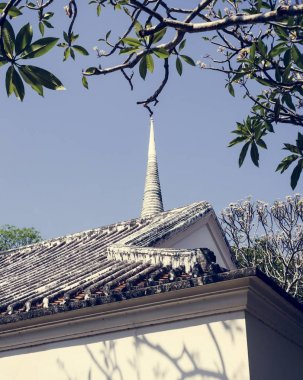 Kilise ağaçlar yaprak dalları doğa, özgün photoset
