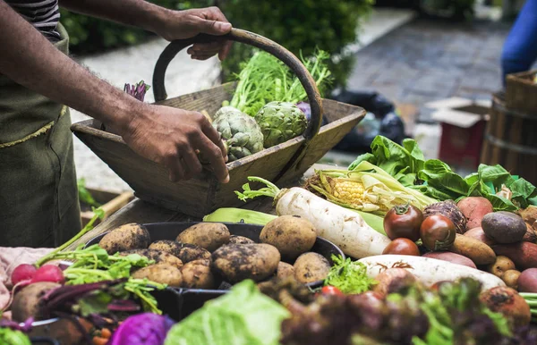 Man selecting vagetables to basket — Stock Photo, Image