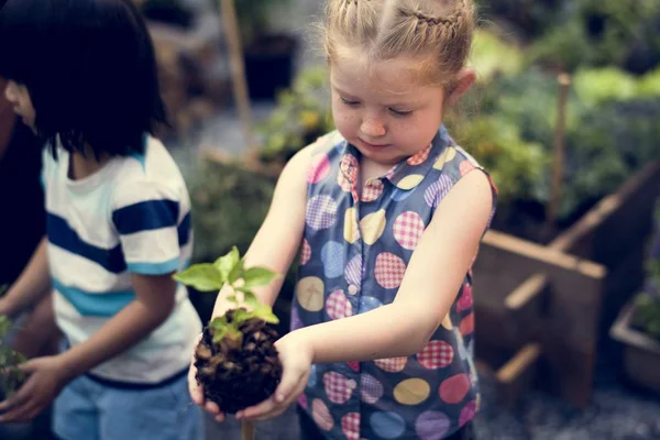 Barnet kommer för att plantera ett träd — Stockfoto