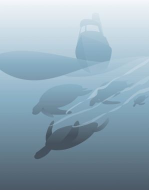 Deniz kaplumbağaları ve deniz feneri