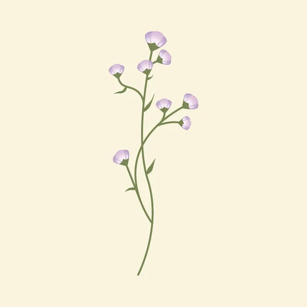 Prachtige wilde bloemen — Stockvector