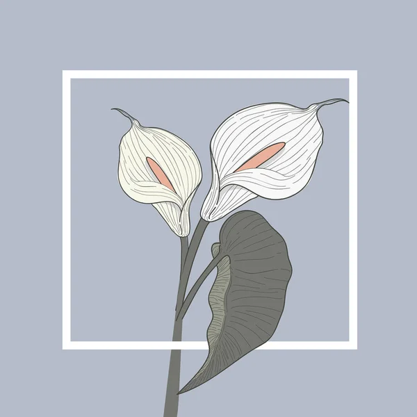 Ikon Bunga Anthurium - Stok Vektor
