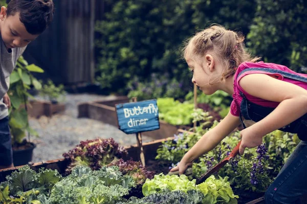 Environnement d'apprentissage des filles à la ferme de légumes — Photo
