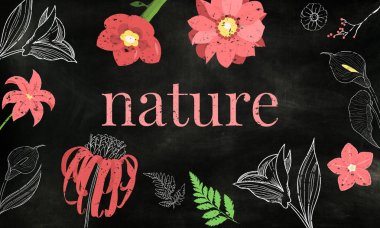 tasarım şablonu sayfa