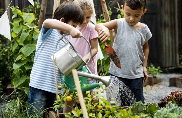 Niños regando las plantas — Foto de Stock