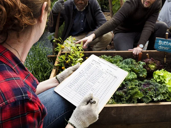 Farmer hacer una lista de verificación — Foto de Stock