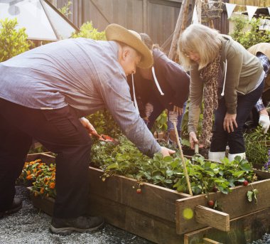  insanlar birlikte üzerinde arka bahçe