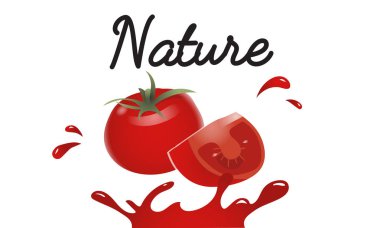 tasarım şablonu sayfa