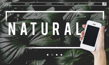 Akıllı telefon tutan kadın 