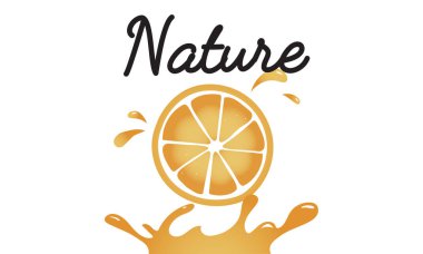 tasarım şablonu sayfa