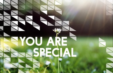  Yeşil çimen ile tarlada çiçekler