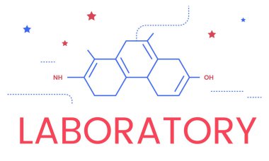 tasarım şablonu sayfa