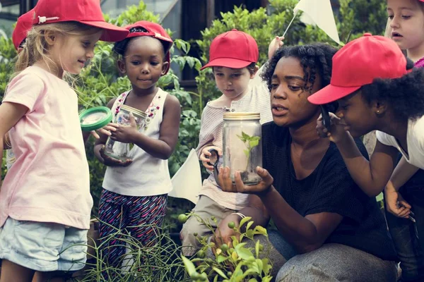 Estudiantes pequeños que aprenden botánica — Foto de Stock