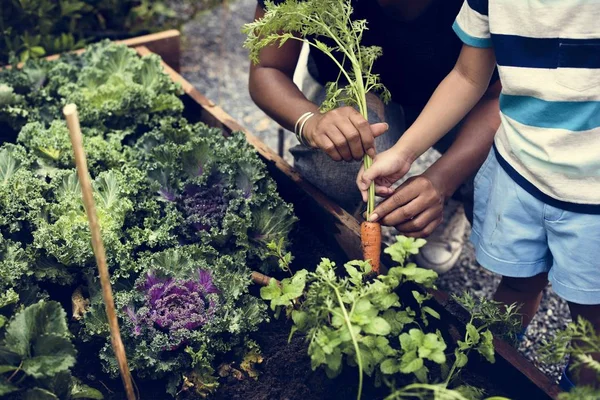 Παιδιά φύτευση λαχανικών σε θερμοκήπιο — Φωτογραφία Αρχείου