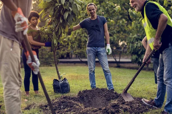 As pessoas plantam uma árvore — Fotografia de Stock