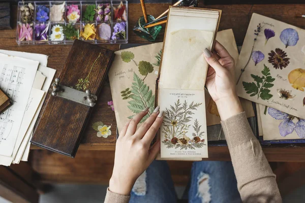 Kuru çiçekler içinde defter tutan eller — Stok fotoğraf