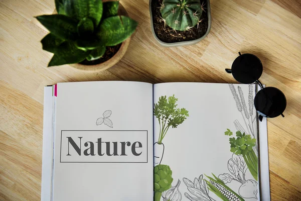 Книжка і рослини на столі — стокове фото