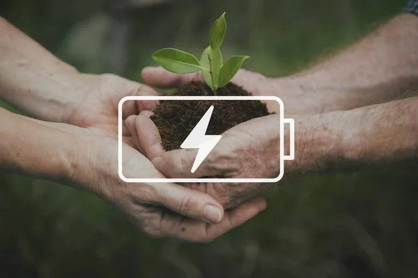 People holding plant in hands