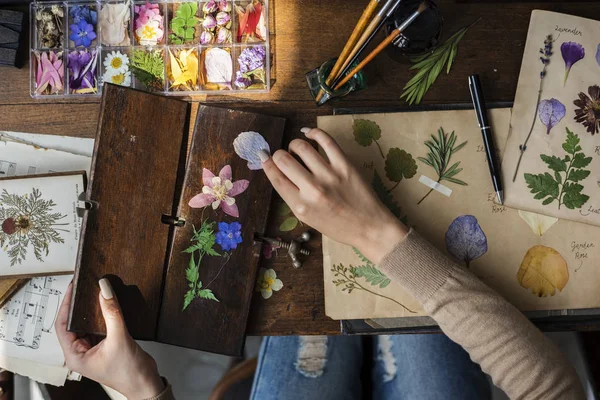 Manos Haciendo colección de flores secas — Foto de Stock