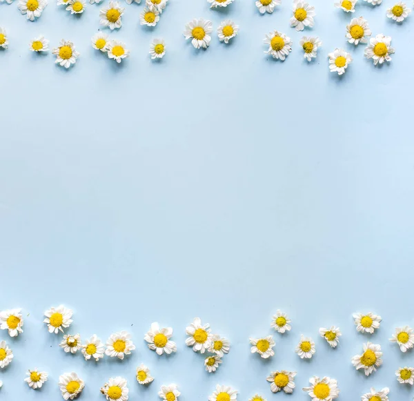 Blomma Minimal Dekorera Mönster Isolerad Bakgrunden — Stockfoto