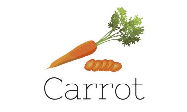 tasarım şablonu sayfa