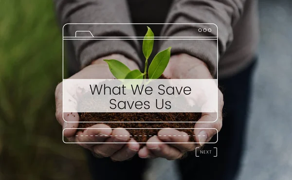 Person holding plant in hands — Stock Photo, Image