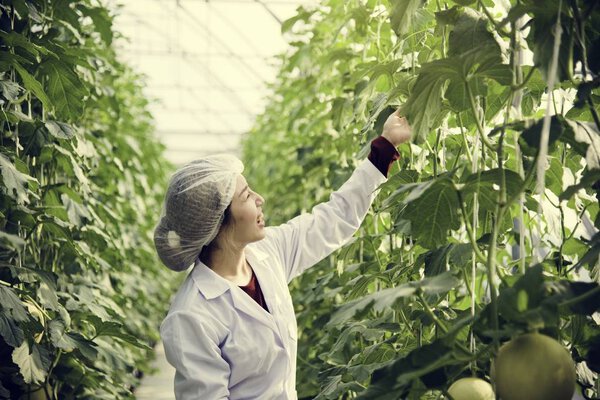 Woman in Glasshouse Study Plants 