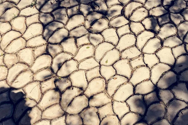 ひびの入った舗装歩道 — ストック写真