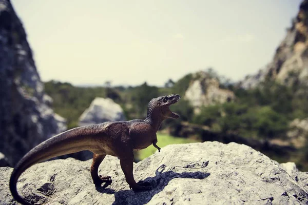 Dinosaurus Hračka Postava Venku Skalách Originální Sada Fotek — Stock fotografie