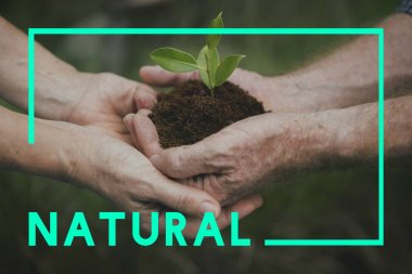 Bitki elinde tutan insanlar