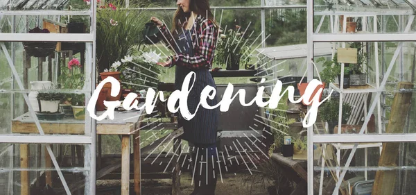 Woman watering flowers in greenhouse — Stock Photo, Image