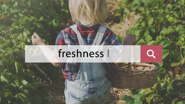 Çocuk kot hasır sepet ile genel