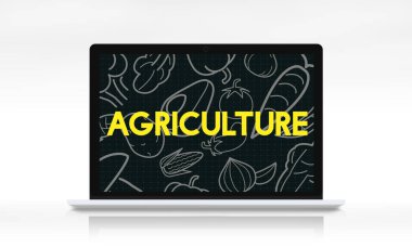 Web tasarım şablonu dizüstü