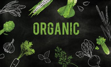 tasarım şablonu sayfa