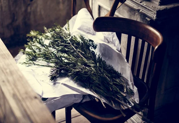 Feuilles fraîches sur chaise — Photo