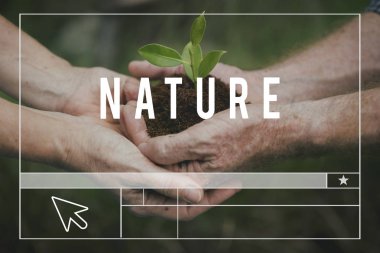 toprak yeşil bitki ile el