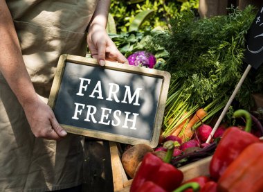 kadın holding yönetim kurulu