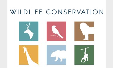 tasarım şablonu sayfa