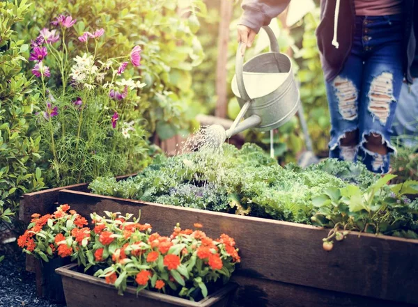 Vrouw die bloemen water geeft — Stockfoto