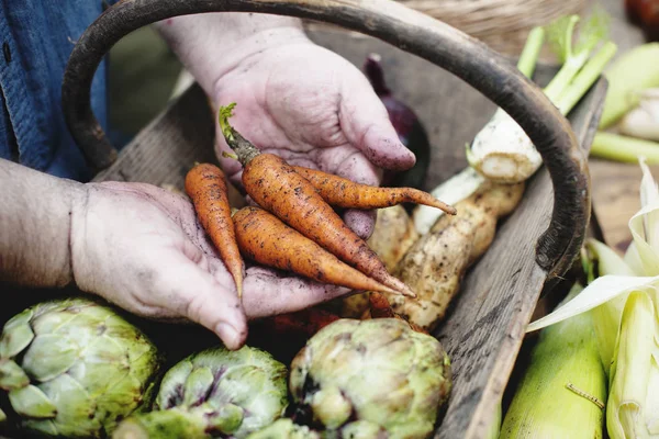 Mano che tiene il cesto con verdure — Foto Stock